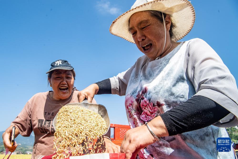 财神8优惠大厅申请网址